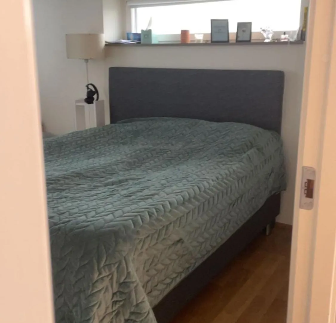 Eurovision 2024 Apartman Malmö